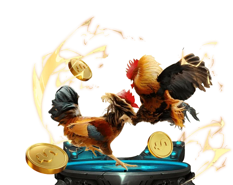 Mẹo chơi xổ số và đá gà hiệu quả tại sut88